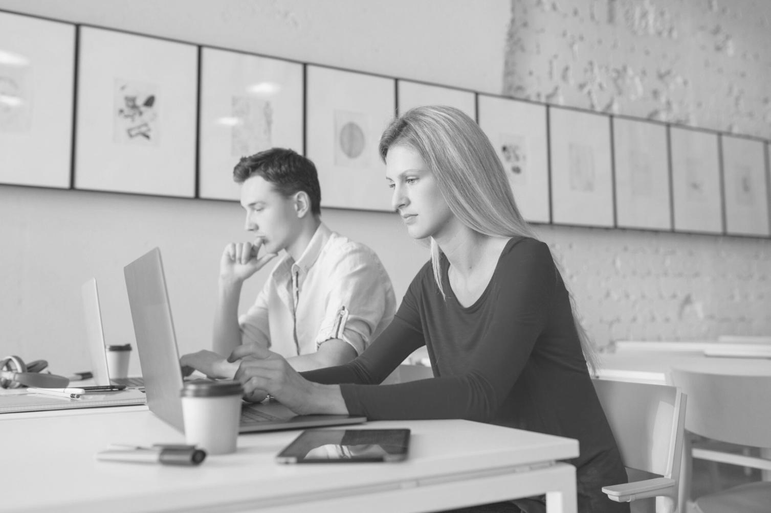 Professional consultation meeting for software testing strategy development